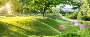 lawn care franchise opportunity